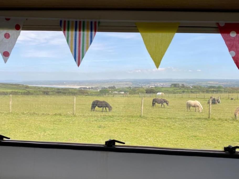 Lily Cosy Campervan With Sea Views & Amazing Sunrises St Ives Exteriör bild